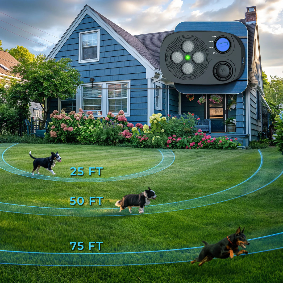 Anti-Barking Device product image 2