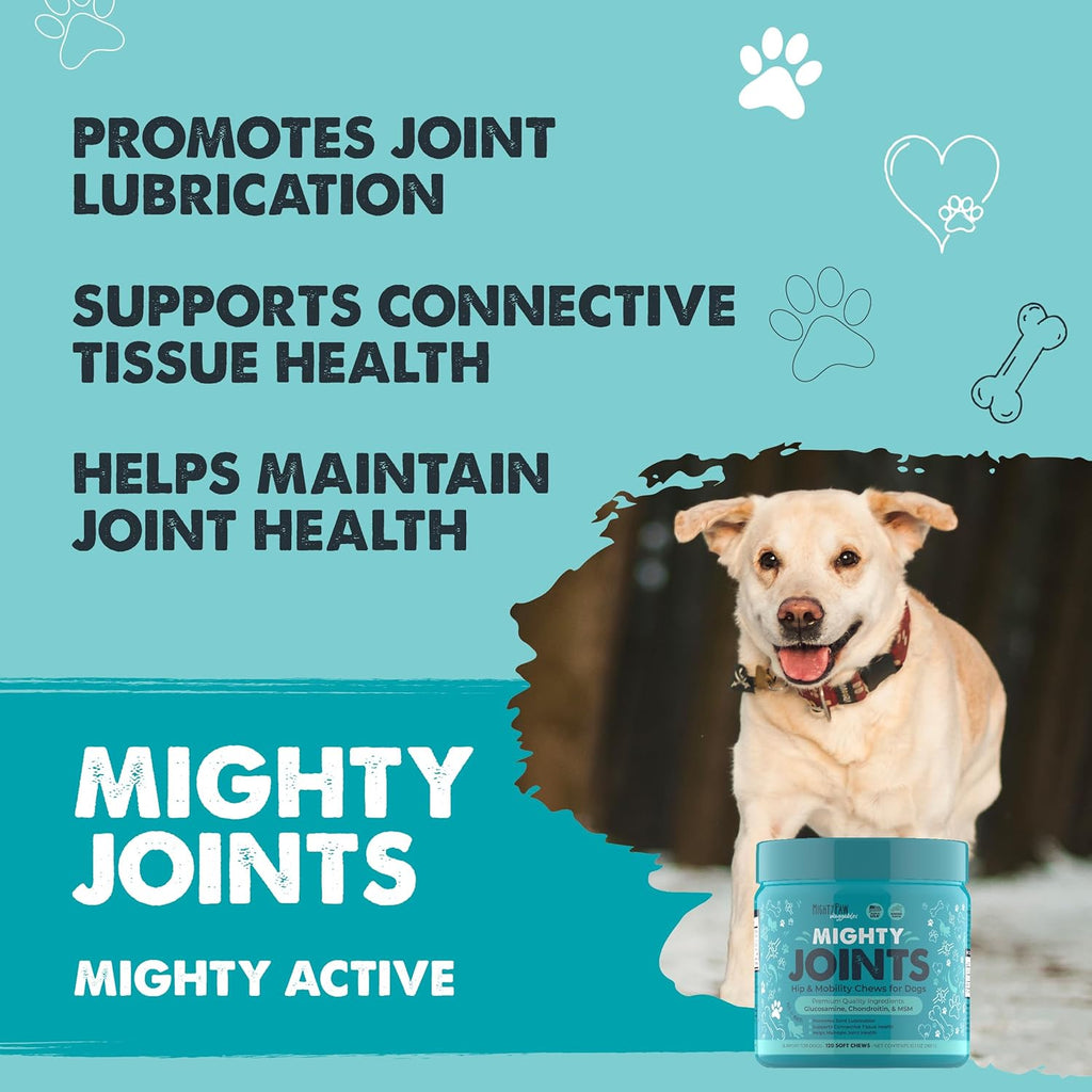 Dog Joint Supplement product image 2