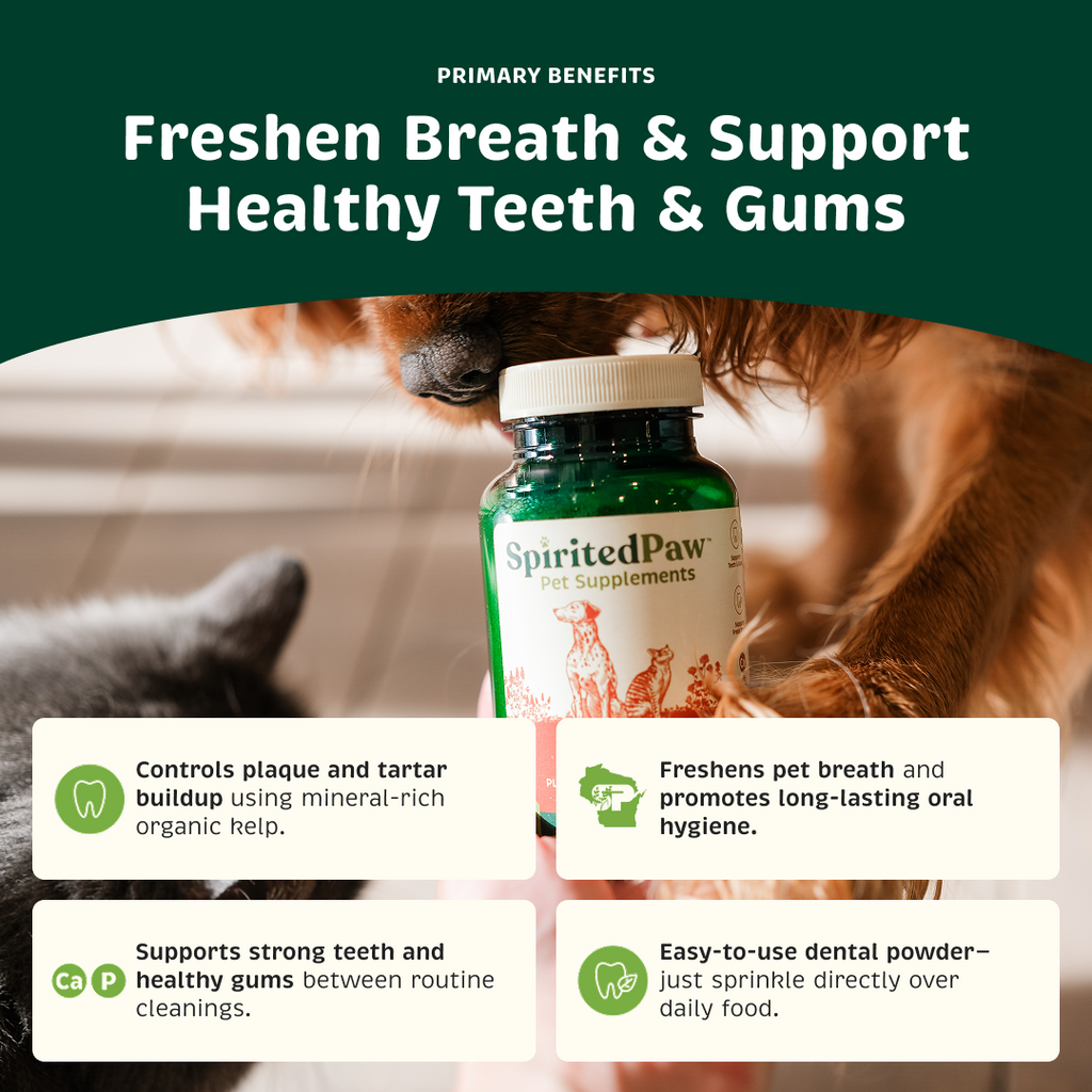 Dog and Cat Dental Powder product image 2