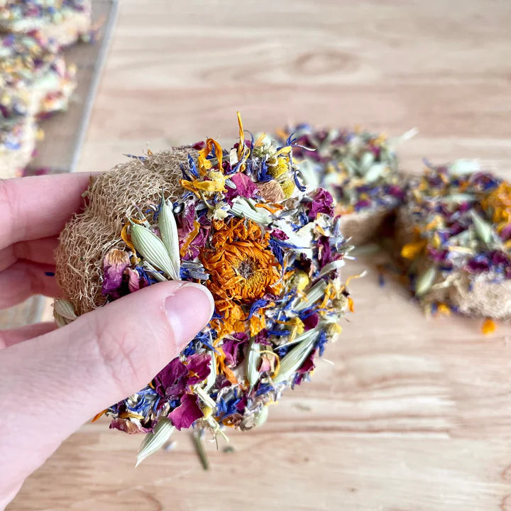 Herbal Loofah Chews product image 2