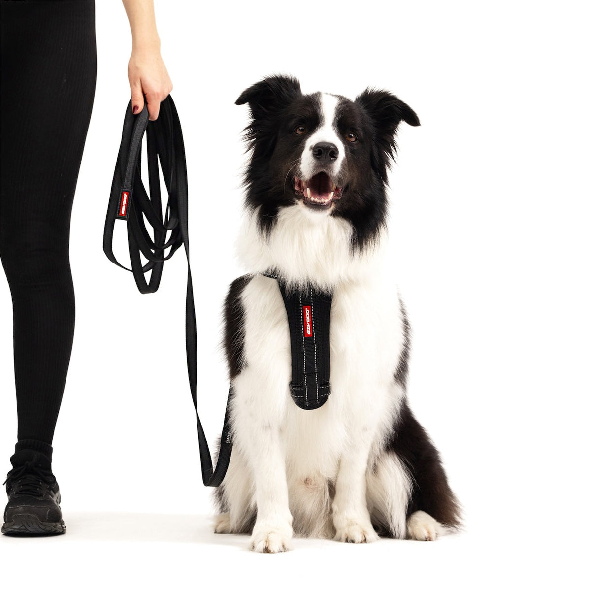 Dog Training Leash product image 2