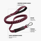 Bungee Dog Leash product image 2