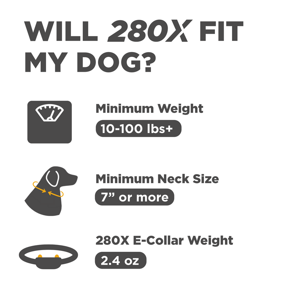Dog Training Collar product image 2