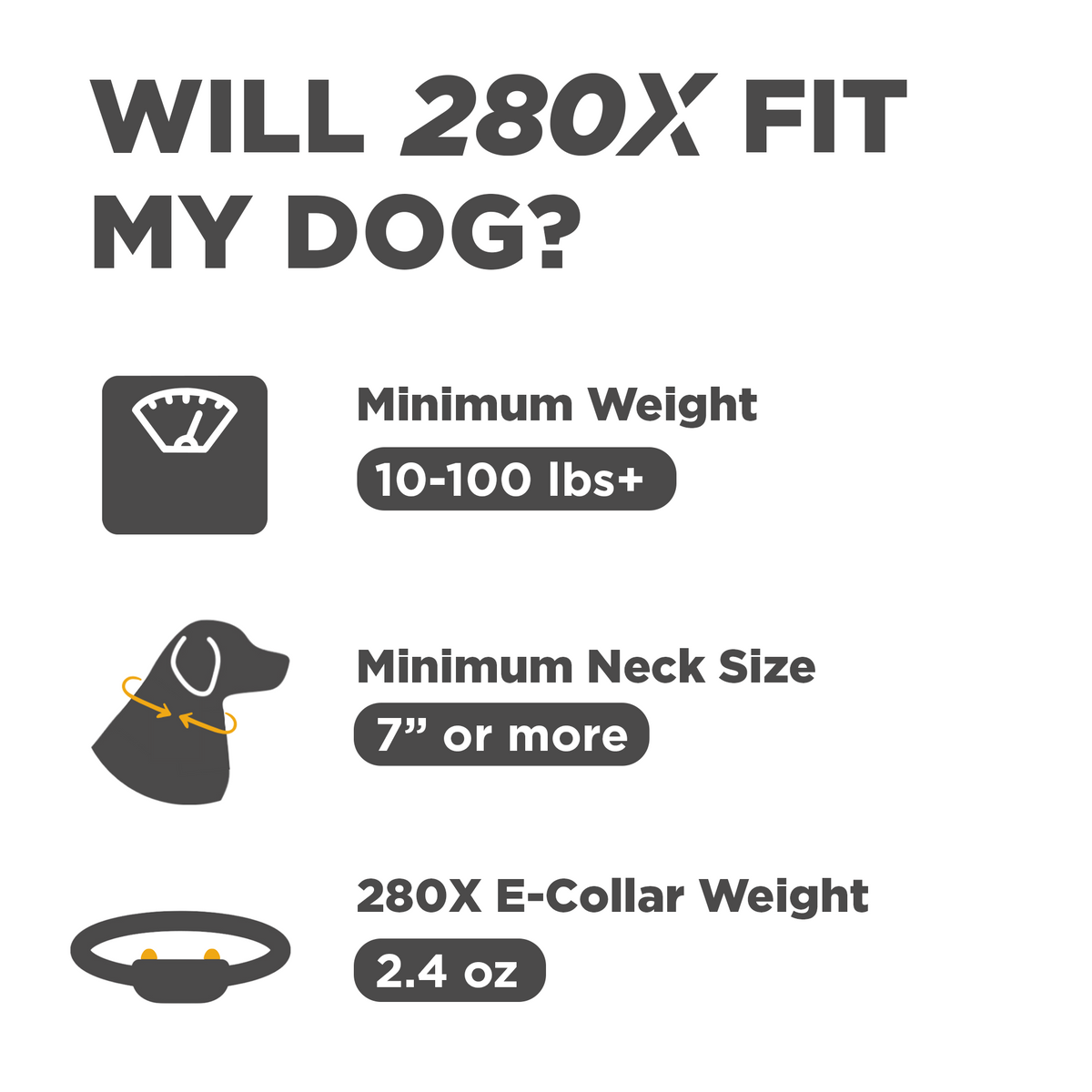 Dog Training Collar product image 2