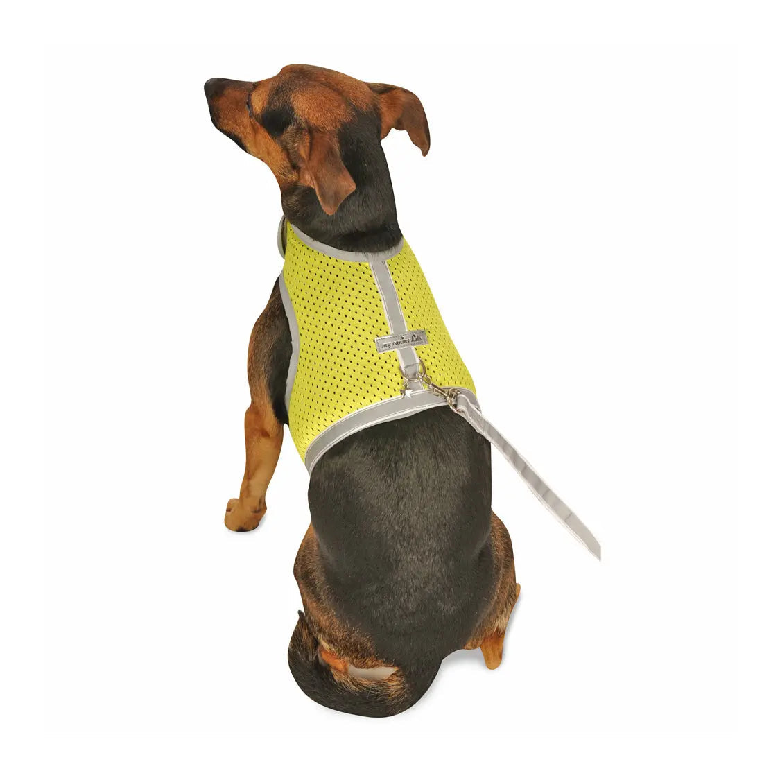 Reflective Mesh Small Pet Harness product image 2