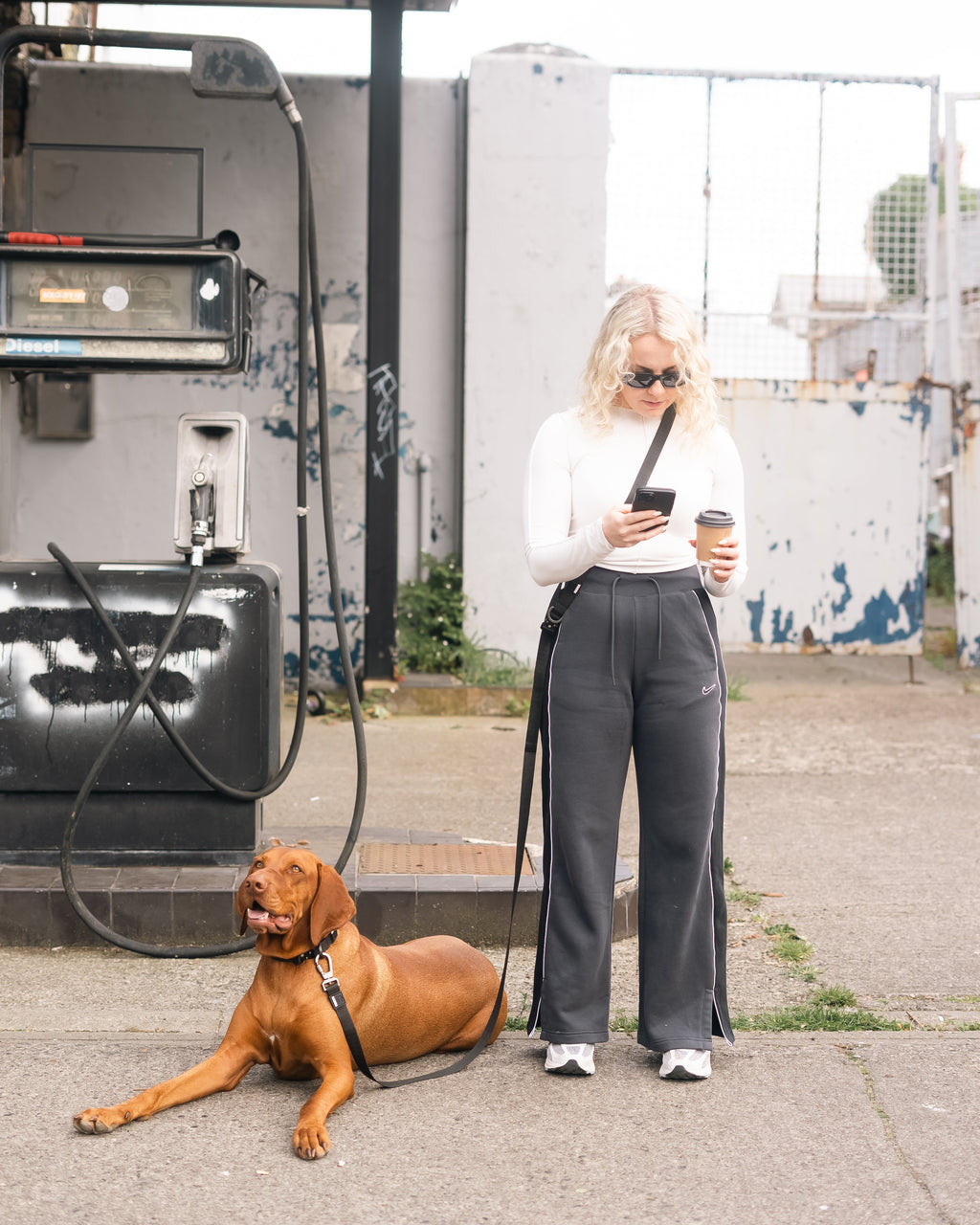 Adjustable Hands-Free Dog Leash product image 2