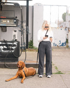 Adjustable Hands-Free Dog Leash product image 2