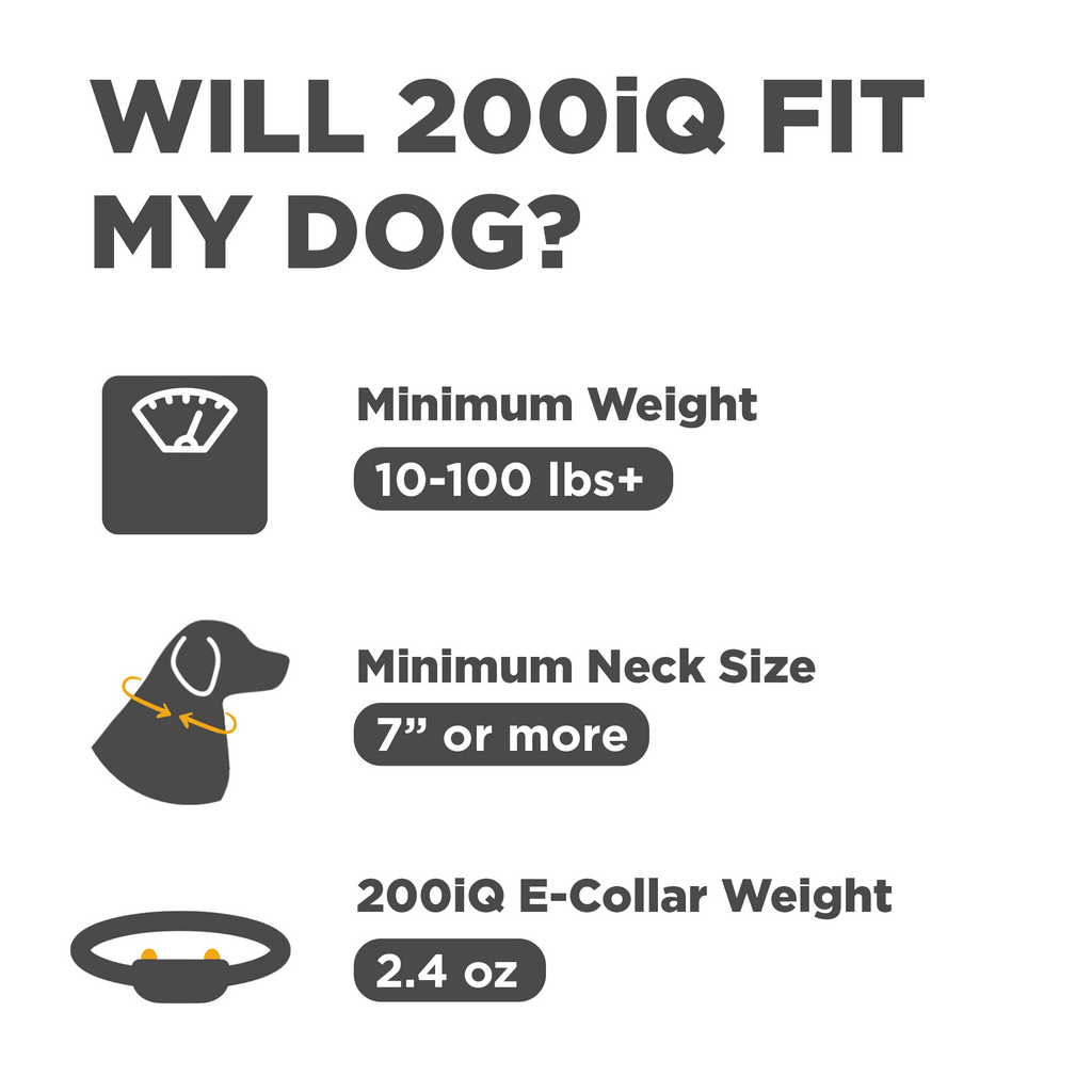 Dog Training Collar product image 2