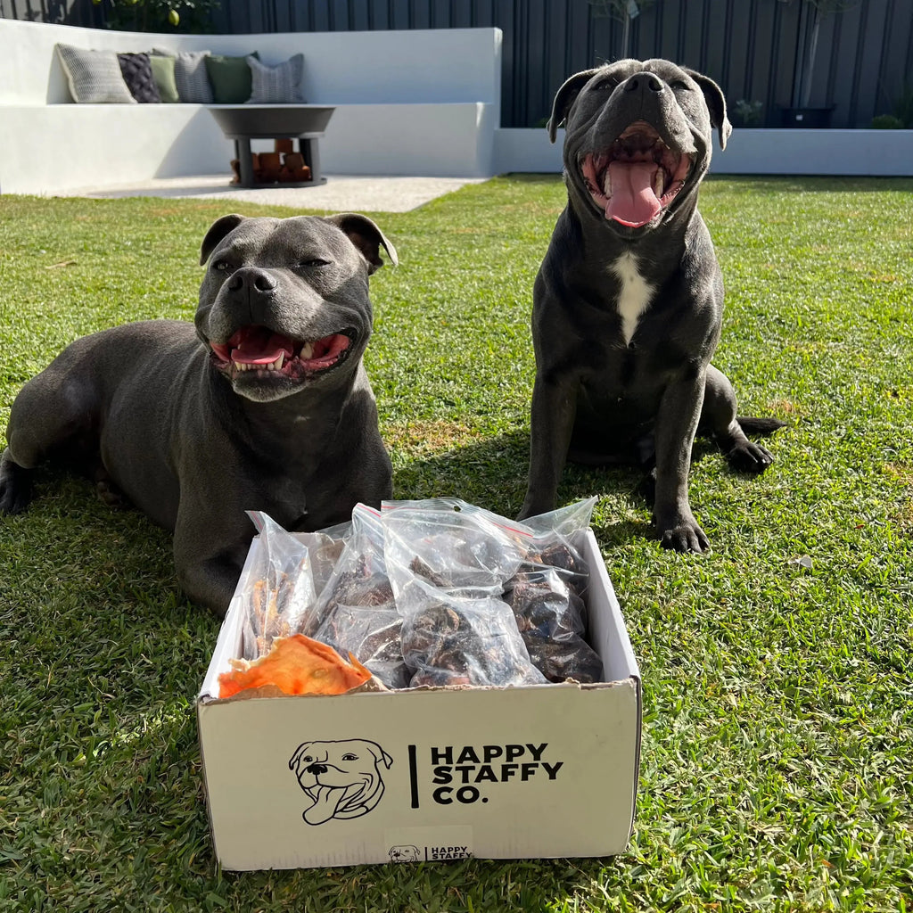 Natural Dog Treat Bundle product image 2