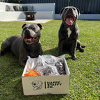 Natural Dog Treat Bundle product image 2