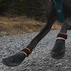 Dog Boots product image 2