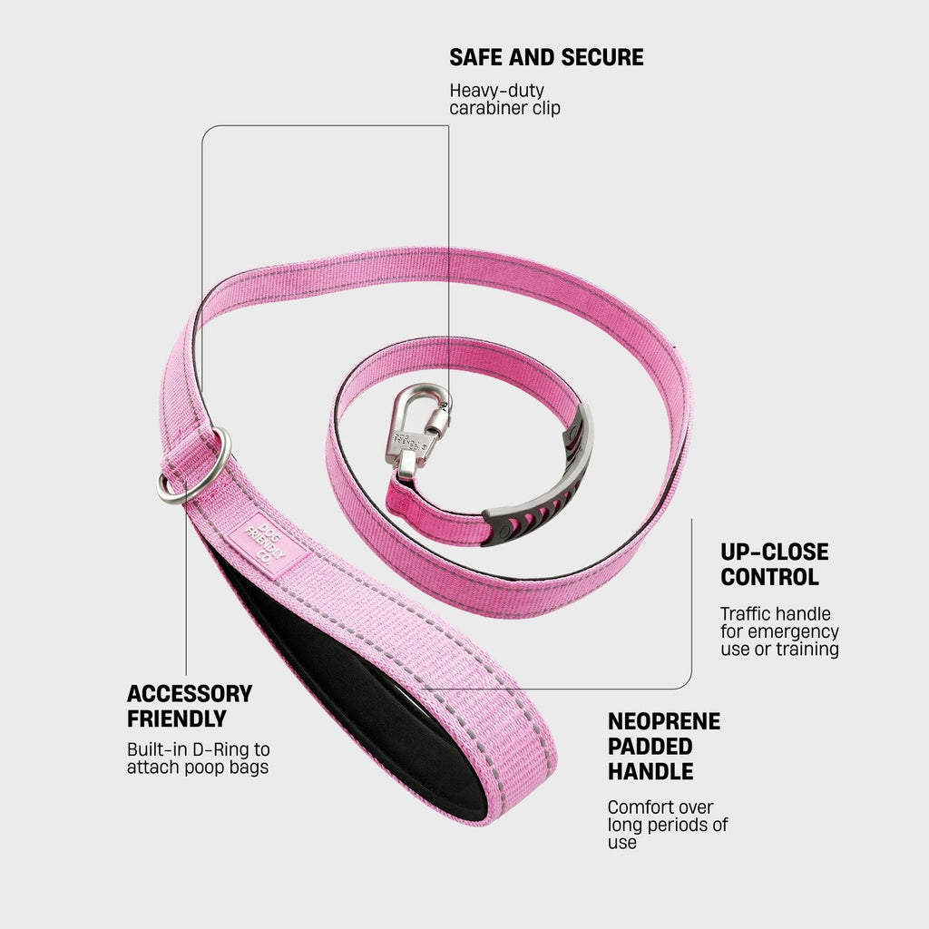 Dog Leash product image 2