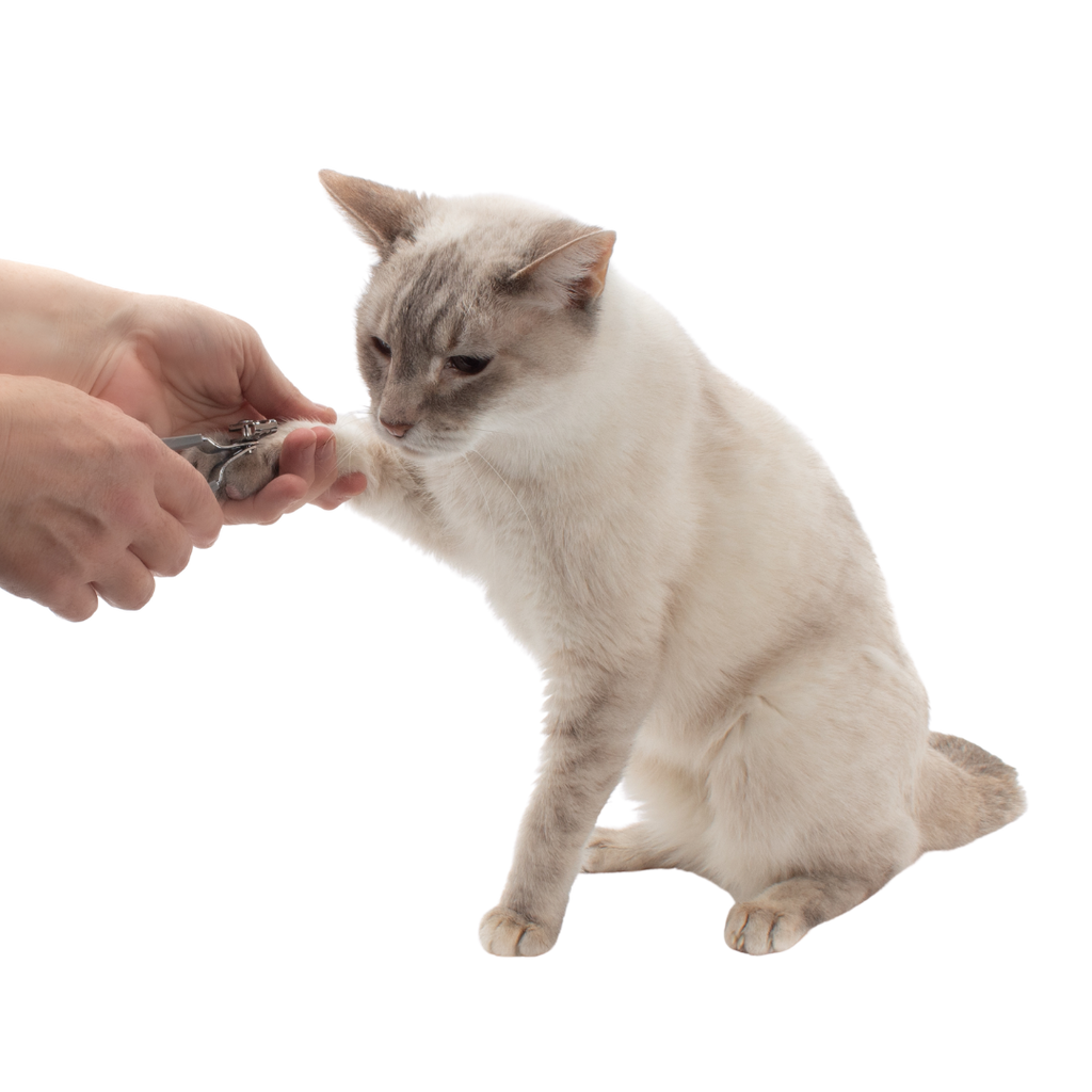 Cat Nail Clippers product image 2