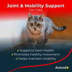 Cat Joint Supplement product image 2