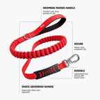 Bungee Dog Leash product image 2