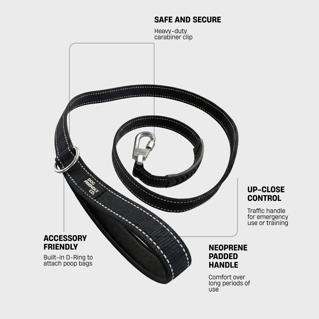Dog Leash product image 2