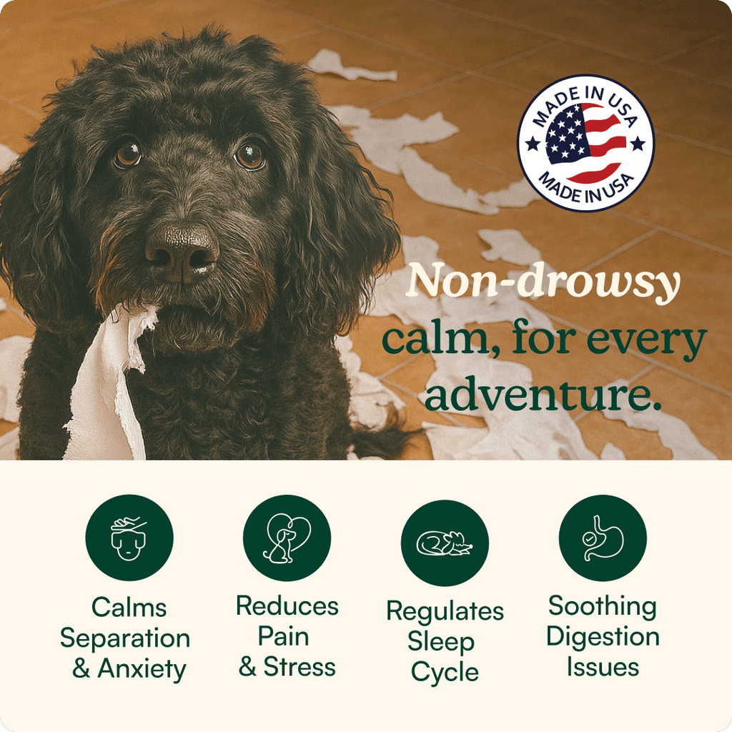 Dog Calming Supplement Chews product image 2