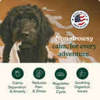Dog Calming Supplement Chews product image 2