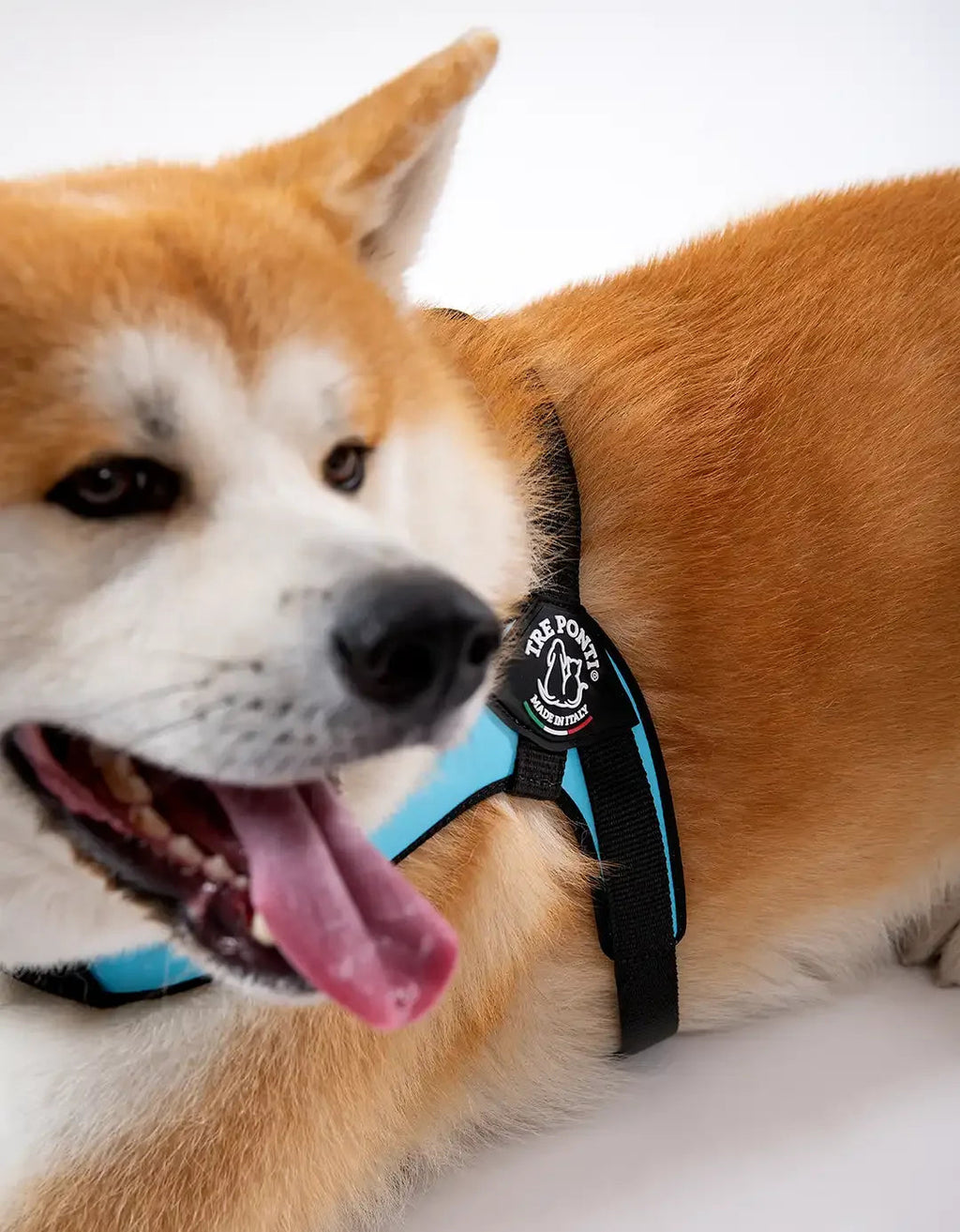 Dog Harness product image 2