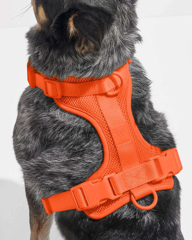 Dog Harness product image 2
