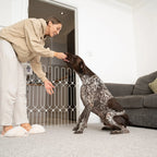 Adjustable Dog Safety Gate for Doorways and Stairs, Fold-Away Steel Design in Three Heights and Width Ranges source image 3