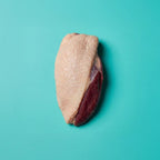 Fresh Duck Dog Food for Adult Dogs, Grain-Free Single-Protein Recipe in 600 g and 1 kg Sizes source image 3