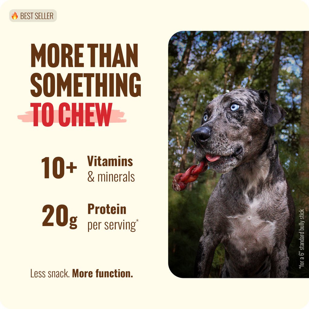 12-Inch Braided Bully Sticks for Heavy Chewers, All-Natural Beef Dog Treats in 5- or 10-Count Packs source image 3