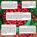 Dog Vitamin C Supplement in Powder or Capsule Form, Cranberry Blend for Daily Mealtime Feeding source image 3