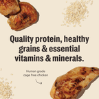 Whole Grain Chicken Dry Dog Food Clusters, Minimally Processed Human-Grade Recipe in 5 lb and 20 lb Bags source image 3