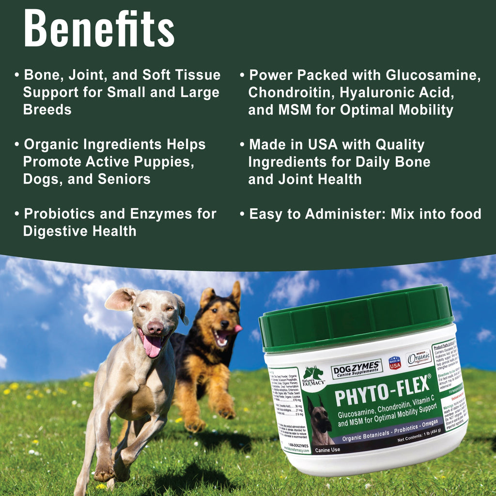 Dog Joint Support Supplement for Daily Mobility, Glucosamine and MSM Powder or Capsule Formats source image 3