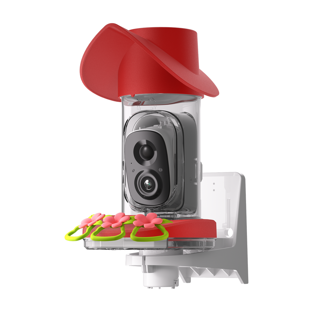 Smart Solar Hummingbird Feeder Camera, 2K Video Monitoring, Leak-Resistant Seal and Instant Visit Alerts source image 3