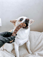 Dehydrated Duck Neck Dog Chews, Single-Ingredient Crunchy Treats in Medium 3-Piece or Large 5-Piece Bags source image 3
