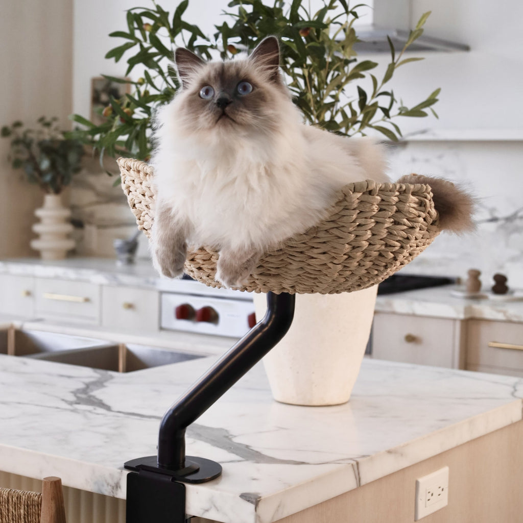 Rotating Desk-Mounted Cat Bed with Tool-Free Clamp, Handwoven or Birchwood Nest for Cats up to 45 lb source image 3
