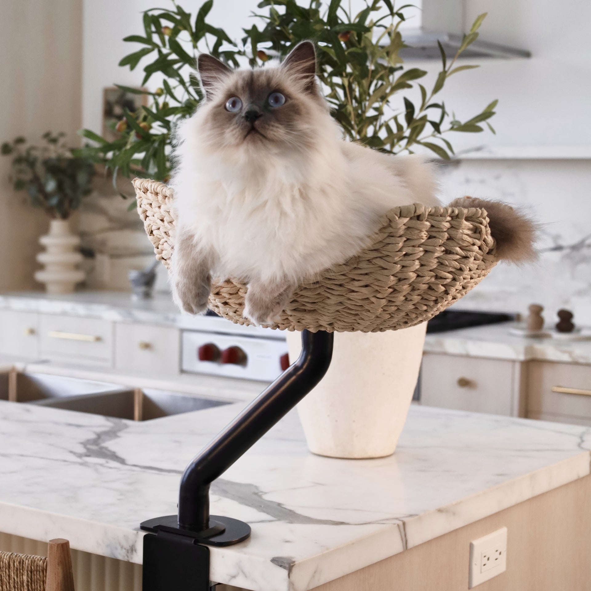 Rotating Desk-Mounted Cat Bed with Tool-Free Clamp, Handwoven or Birchwood Nest for Cats up to 45 lb source image 3
