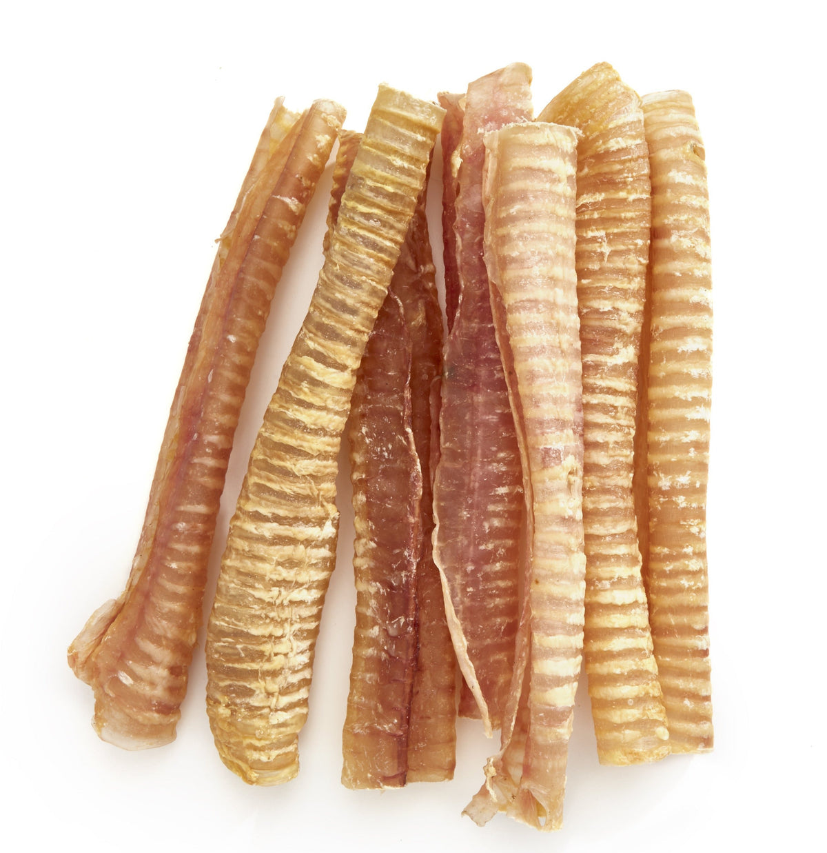 12 Inch Beef Trachea Dog Chews, Single-Ingredient Grass-Fed Treats in an Eight Pack for Supervised Chewing source image 3