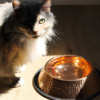 Hand-Hammered Pure Copper Pet Water Bowl for Cats and Dogs, Polished Finish in 27 oz and 51 oz Sizes source image 3