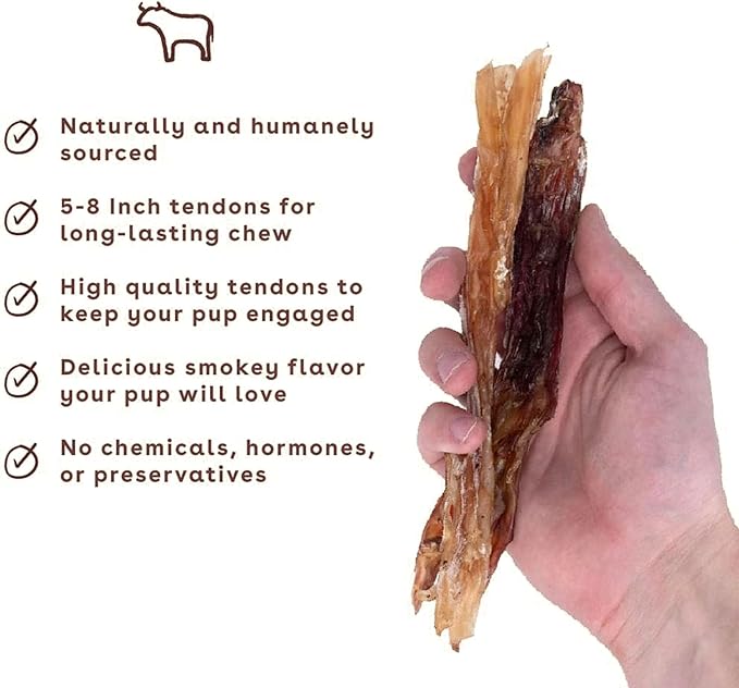 Natural Dog Chew Starter Pack, Beef Tendon and Bully Stick Variety Bundle for Supervised Chewing source image 3