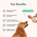 Daily Probiotic and Multivitamin Chews for Dogs, Easy Chew Format for Everyday Wellness Support product image 3