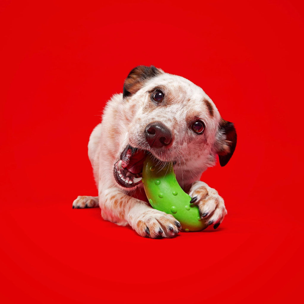 Natural Rubber Pickle Dog Toy for Gnawing and Fetch Play, Squeaky Wobble Design in Three Sizes source image 3
