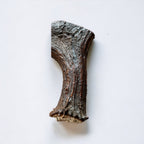 Moose Antler Base Dog Chew for Extreme Power Chewers, Dense Single-Piece Treat in Three Weight-Based Sizes source image 3