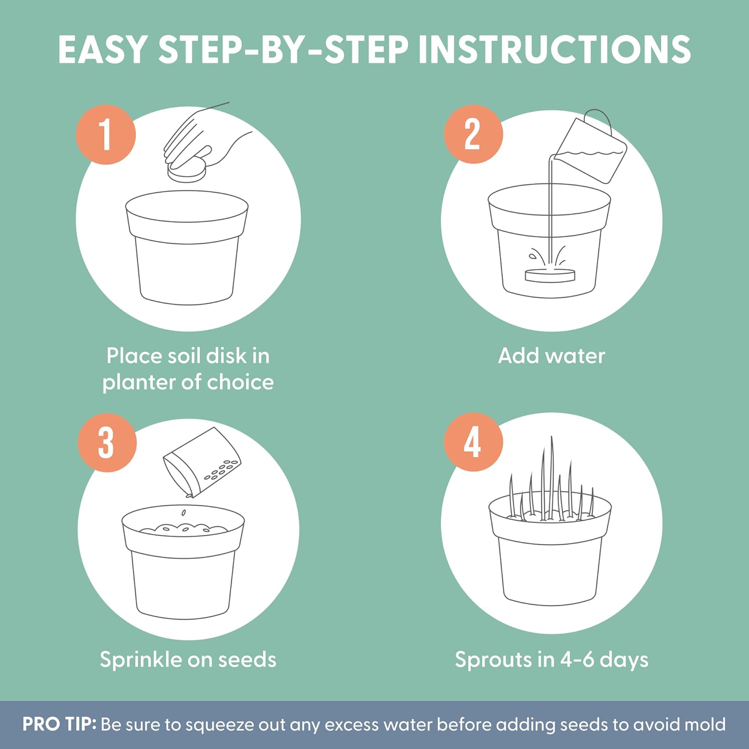 Organic Cat Grass Refill Kit, Three-Pack Wheat, Oat, Rye and Barley Seed Blend Growing in 5 to 7 Days source image 3
