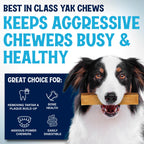 Himalayan Yak Cheese Dog Chews, Three-Ingredient Long-Lasting Milk Sticks in 3-Pack, 5-Pack or 3 lb Sizes source image 3