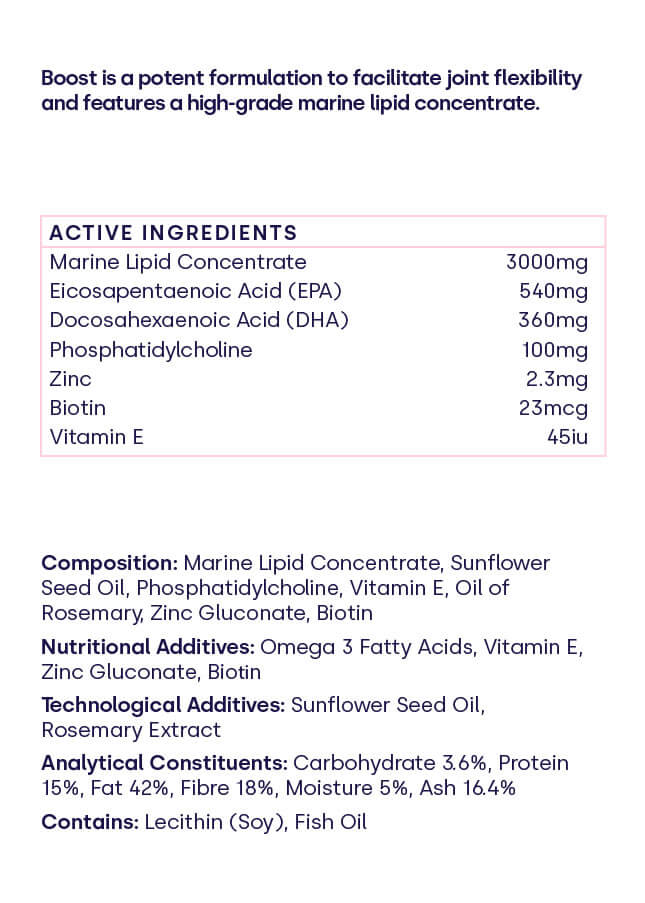 Dog Joint Supplement Bundle for Everyday Mobility, Collagen Formation and Bone Health Support at Home source image 3