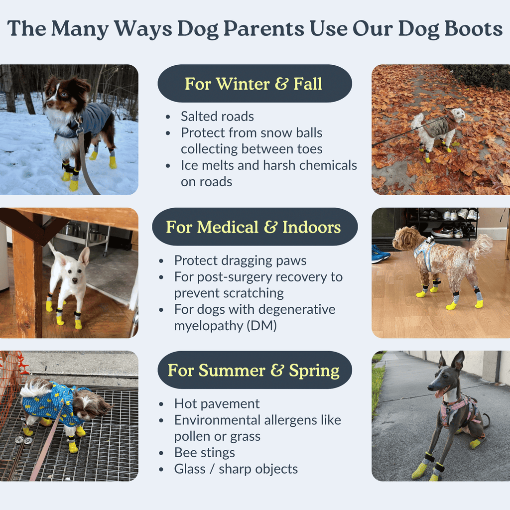 All-Season Dog Boots, Flexible Grip Soles in a Lightweight Set of Four for Hot Pavement and Winter Walks source image 3