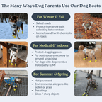 All-Season Dog Boots, Flexible Grip Soles in a Lightweight Set of Four for Hot Pavement and Winter Walks source image 3