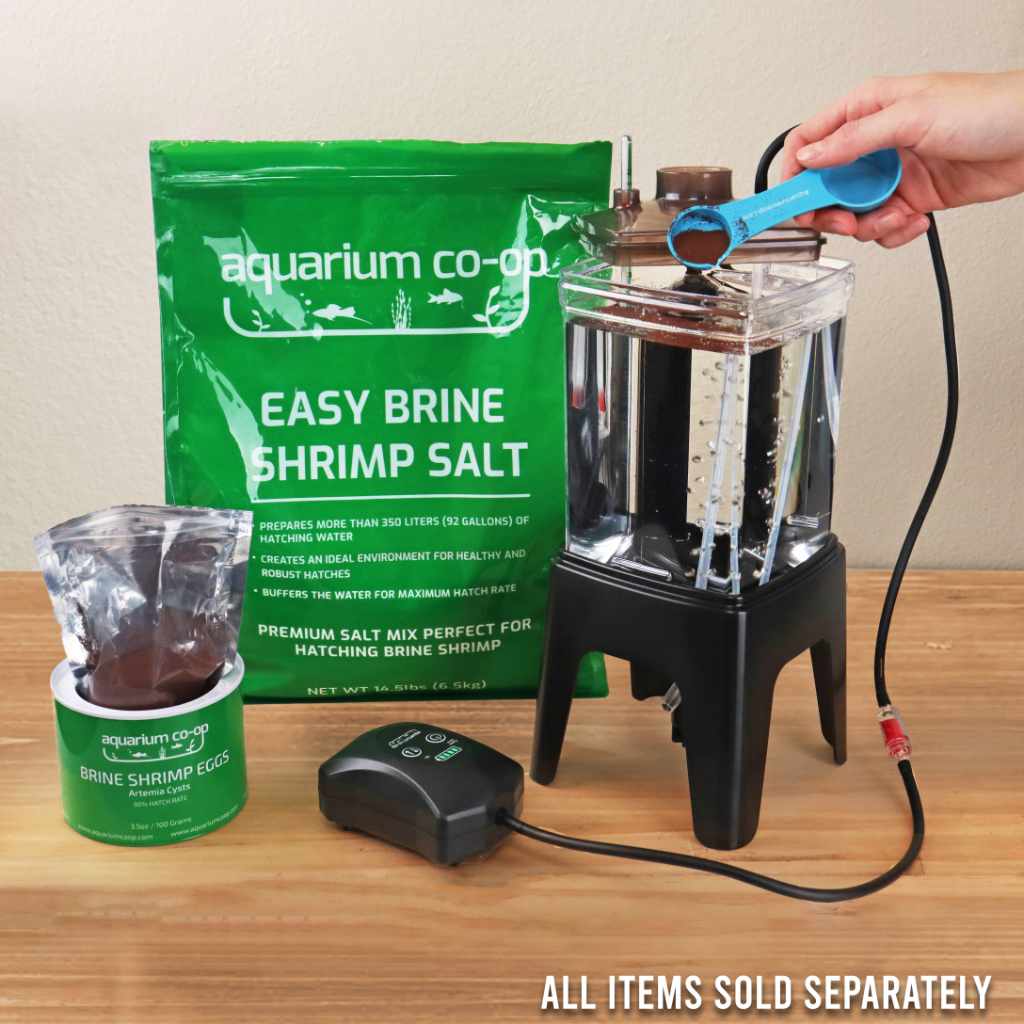Brine Shrimp Hatchery Kit in 700 ml and 2 L Sizes, Impact-Resistant Vessel with Stand and Valve source image 3