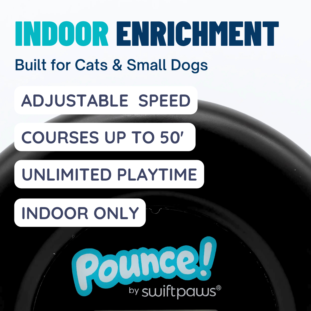 Indoor Pet Lure Course for Cats and Small Dogs, Automatic 10-Minute Play, USB-C Power and Magnetic Pulleys source image 3