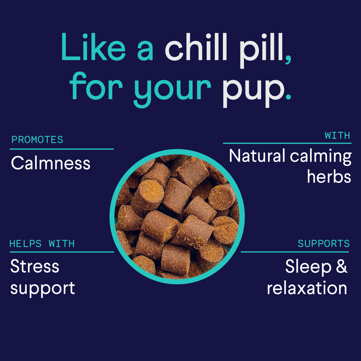 Calming Soft Chews for Dogs, Organic Herbal Daily Support for Stressful Moments and Hyperactive Behavior source image 3