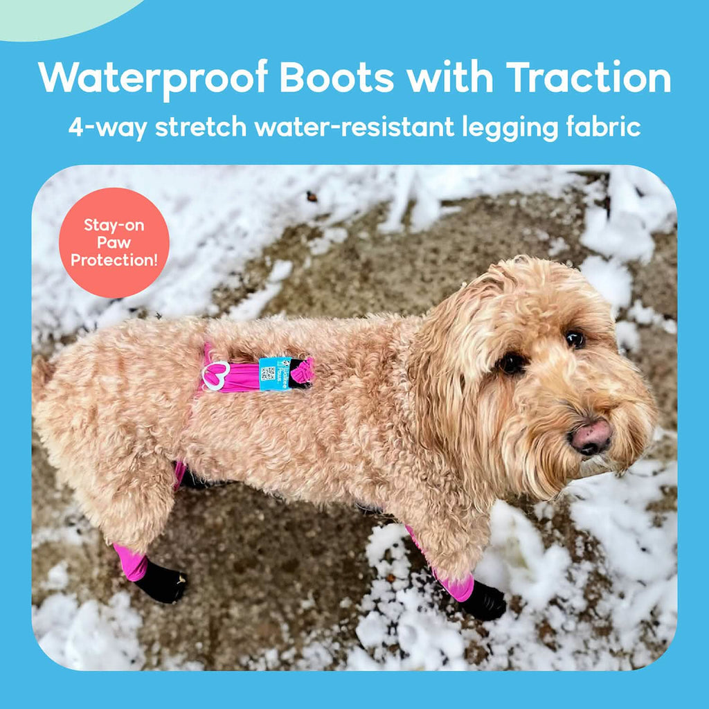Waterproof Dog Boot Leggings for Winter Walks, Seam-Free TPE Paw Covers and Full-Leg Protection source image 3