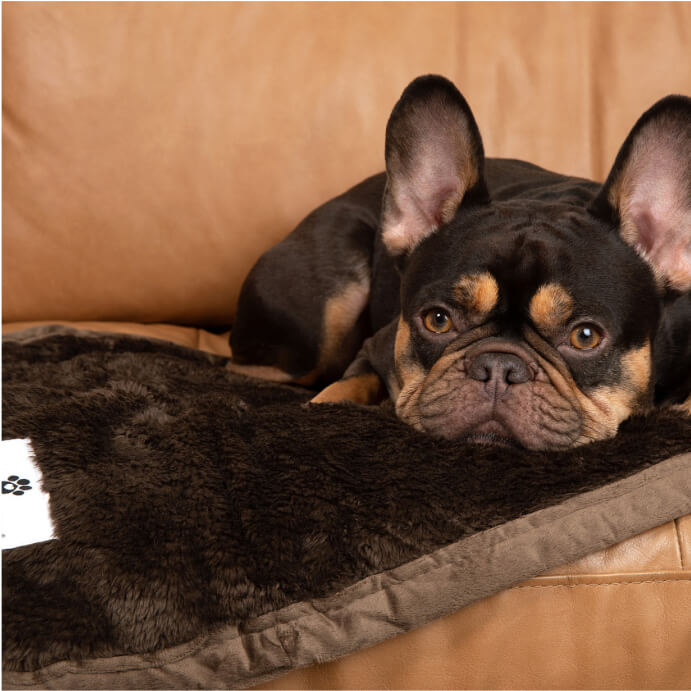 Waterproof Pet Blanket, Reversible Faux Fur and Absorbent Sherpup Layers for Beds, Couches, Crates and Cars source image 3